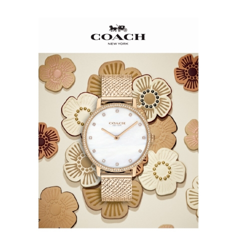 COACH AUDREY系列 康乃馨金色網眼錶帶腕錶